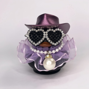 violet the dream duck